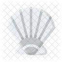 Shell  Icon