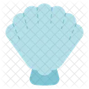 Shell  Icon