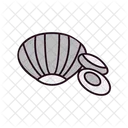 Shellfish Seashell Scallop Icon