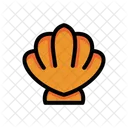 Shells Icon