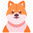 Shiba  Icône