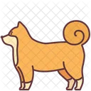Shiba Dog  Icône