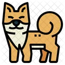 Shiba  Symbol