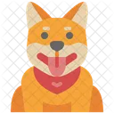 Shiba Inu  Icône