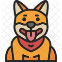 Shiba Inu  Icône