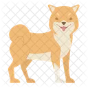 Shiba Inu Perro Cachorro Icono