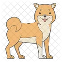Shiba Inu Dog Puppy 아이콘