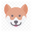 Shiba inu  Icon