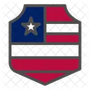 Shield Icon