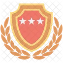 Shield Rating Medal Icon