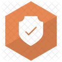 Security Check Shield Icon