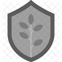 Shield  Icon