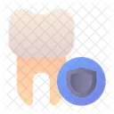 Shield Protection Tooth Icon