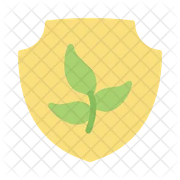 Shield  Icon