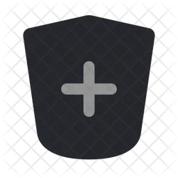 Shield Add  Icon