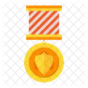 Shield Award  Icon