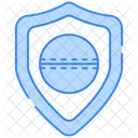 Shield Icon