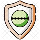 Shield Icon