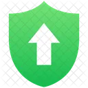 Shield Security Protection Icon