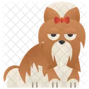 Shih  Ícone