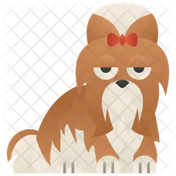 Shih  Ícone