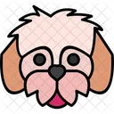Shih Tzu Dog Cute Icon