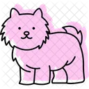 Shih Tzu Shihtzu Perro Icono