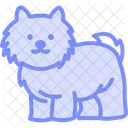 Shih Tzu Shihtzu Perro Icono