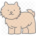 Shih Tzu Perro Mascota Icono