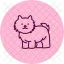 Shih Tzu Shihtzu Perro Icono