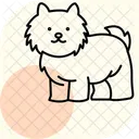 Shih Tzu Shihtzu Perro Icono