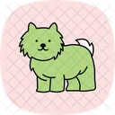 Shih Tzu Shihtzu Perro Icono