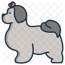 Shih Tzu Dachshund Puppy Icon