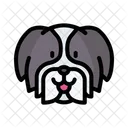 Shih Tzu Dog Animal Icon