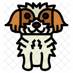 Shih Tzu  Icon