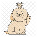 Shih Tzu Dog Puppy Icon