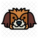 Shih Tzu Dog  Icon