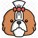 Shih Tzu Pet Dog Dog Icon