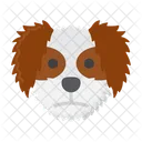 Shih Tzu Pet Dog Dog Icon