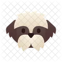 Shih Tzu Cachorro Cachorrinho Icon