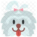 Shih Tzu Cachorro Animal De Estimacao Icon