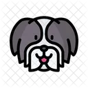 Shih Tzu Cachorro Animal Icon
