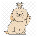 Shih Tzu Cachorro Cachorrinho Icon