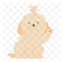 Shih Tzu Cachorro Cachorrinho Icon