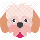 Shih Tzu Cachorro Fofo Icon