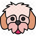 Shih Tzu Cachorro Fofo Icon