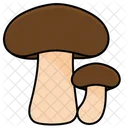 Shiitake Mushrooms Fungi Mushroom Vegetarian Shimeji Boletus Icon