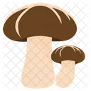 Shiitake Cogumelos Fungos Cogumelo Comida Boleto Ícone