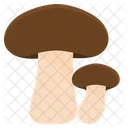 Shiitake Mushrooms Fungi Mushroom Vegetarian Shimeji Boletus アイコン