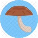 Mushrooms Shiitake Mushroom Vegetable Icon